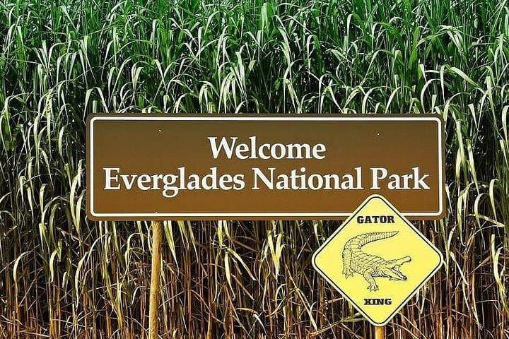 Private Everglades Airboat Tour from Miami — Wildlife, Wetlands & History photo 2