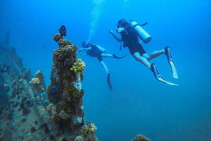 South Coast Sri Lanka Fun Dives for Certified Divers — Galle Wrecks & Reefs photo 3