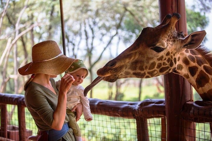 Private Giraffe Centre Tour Nairobi: Feed Rothschilds, Meet Kobe Beads Artisans photo 3
