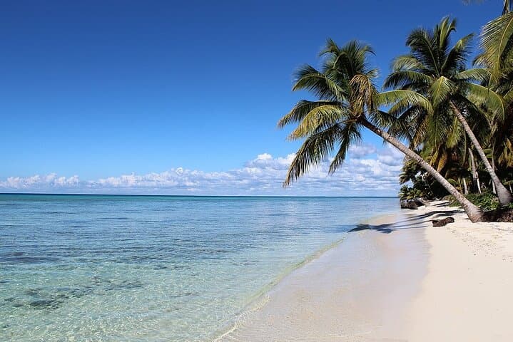 Full-Day Saona Island Excursion from Punta Cana: Beaches, Natural Pool & Local Lunch photo 6