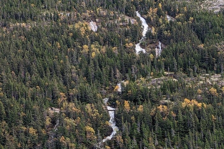 Skagway City and Summit Tour: Exploring Alaska’s Historic Gateway and White Pass Summit photo 5