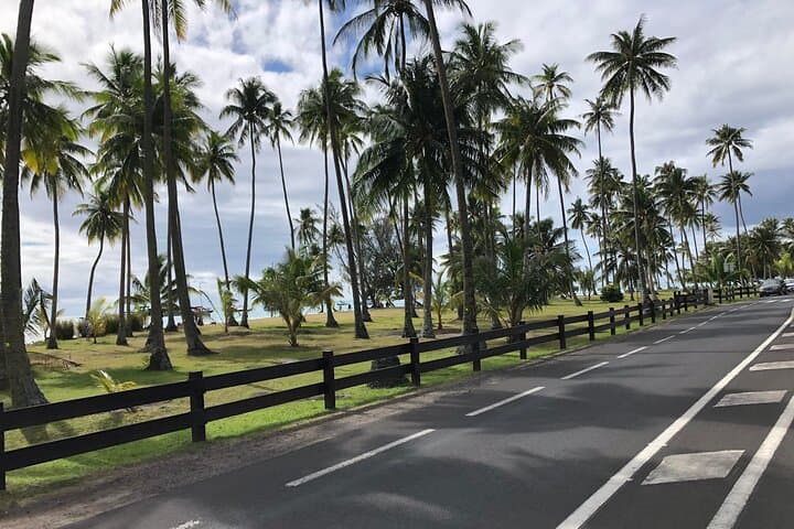 Moorea 4x4 Land-and-Sea Adventure: Magic Mountain, Belvedere Lookout, Pineapples, and Lagoon Swim photo 4