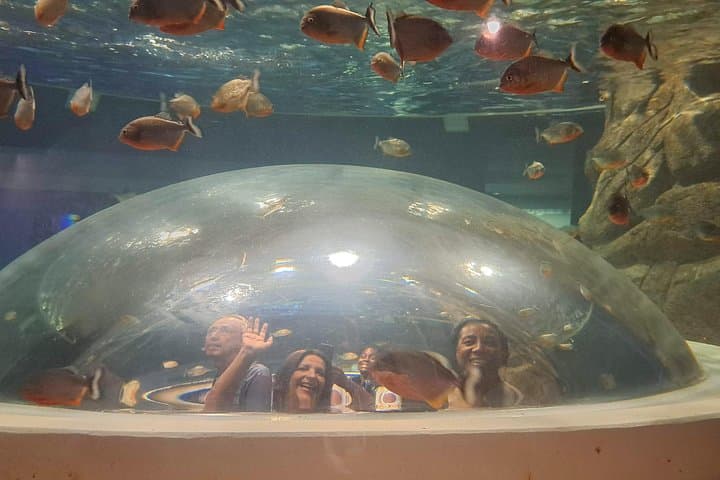 AquaRio & BioParque Half-Day: Rio's Urban Wildlife and Underwater Wonders photo 3