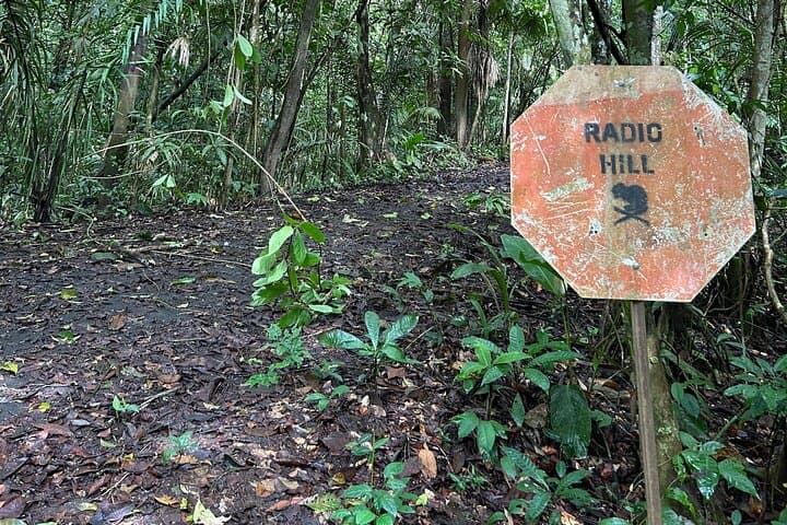 pipeline-road-hiking-soberania-national-park-panama photo 3
