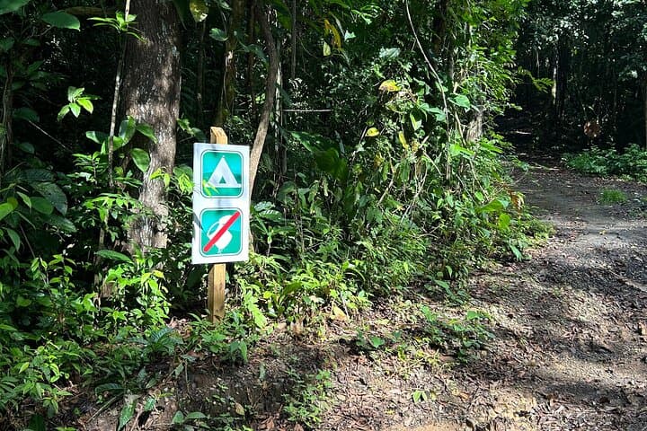 pipeline-road-hiking-soberania-national-park-panama photo 4