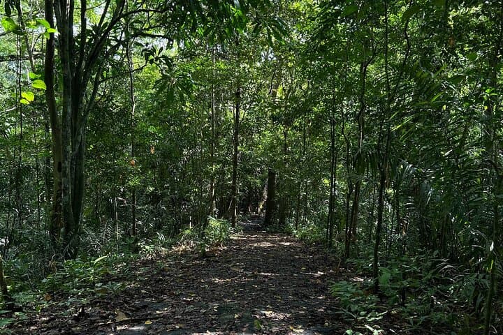 pipeline-road-hiking-soberania-national-park-panama photo 2