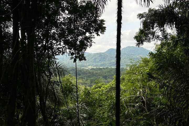 pipeline-road-hiking-soberania-national-park-panama photo 6