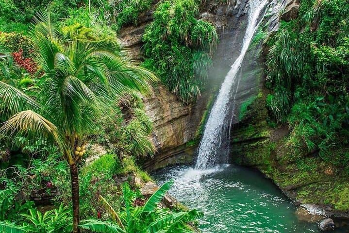 Grenada Express Highlights: Forts, Waterfalls, Chocolate & Sulphur Springs