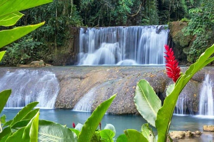 YS Falls, Black River & Pelican Bar Day Tour from Negril photo 3