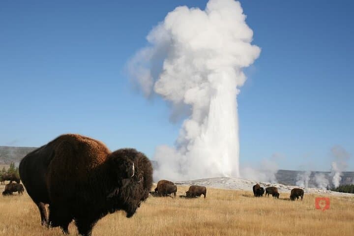 Self-Guided Audio Driving Tour: Yellowstone & Grand Teton Highlights photo 5
