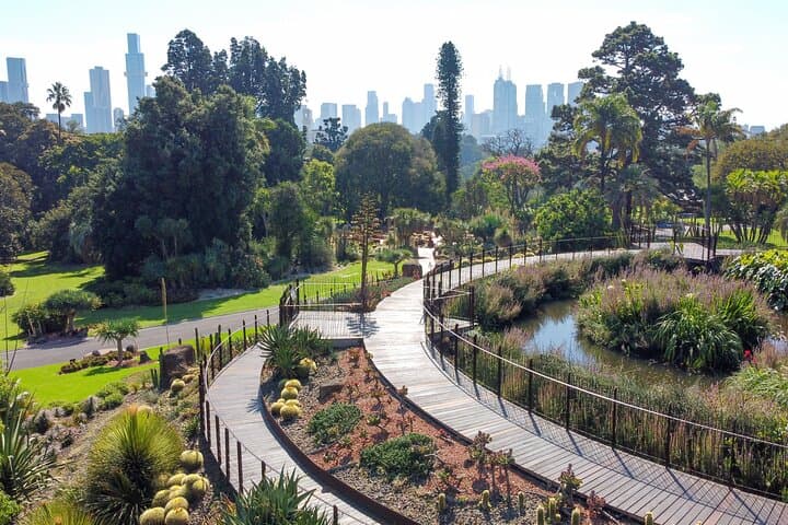 Melbourne Gardens Explorer: 30-Min Open-Air Minibus Tour of Royal Botanic Gardens photo 2