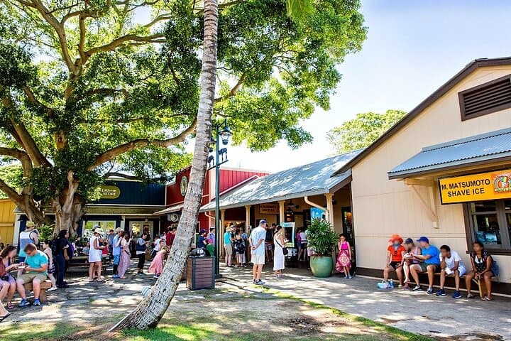 Discover Oahu's Iconic Circle Island Tour photo 3