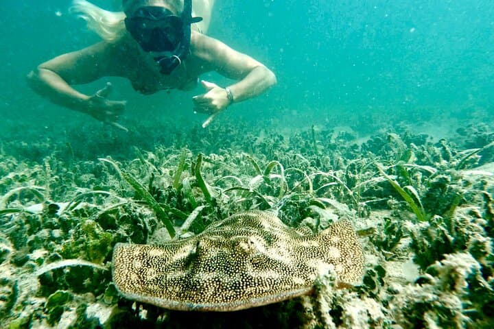 Guided Snorkel Tour at Phil Foster Beach — West Palm Beach Snorkeling with Free Video photo 3