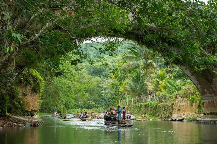 Glide the Great River: Private Bamboo Rafting from Montego Bay, Jamaica photo 6