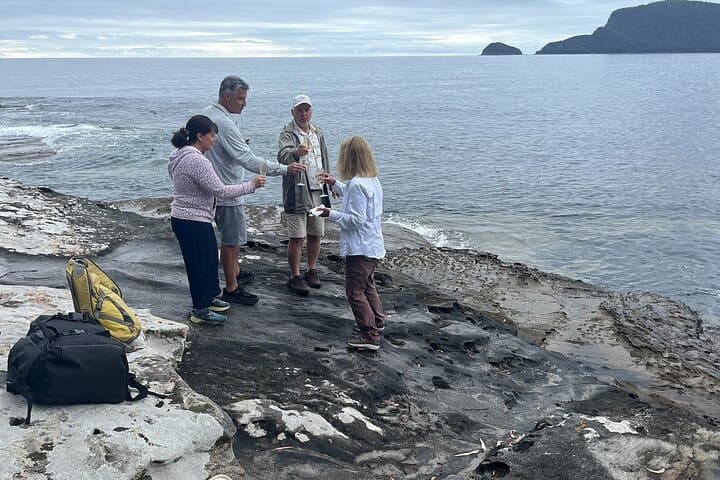 5-Day Private Tasmanian Guided Tour: Bruny, Mt Field & Hobart Highlights photo 1