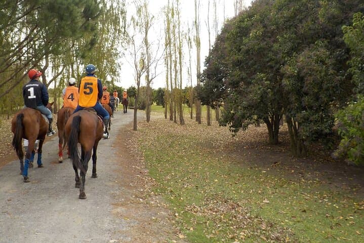 Estancia Horseback Riding and Polo Day Trip from Buenos Aires photo 2