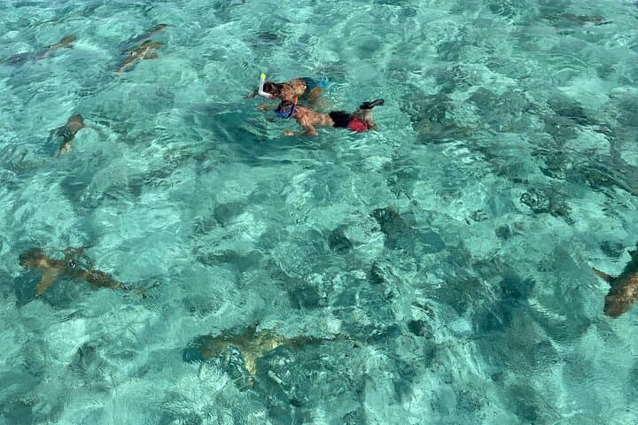 Bora Bora Lagoon Safari: Half‑Day Snorkel with Rays & Reef photo 2