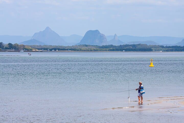 Full-Day Bribie Island Birdlife Tour: Pumicestone Passage & Buckley’s Hole photo 2