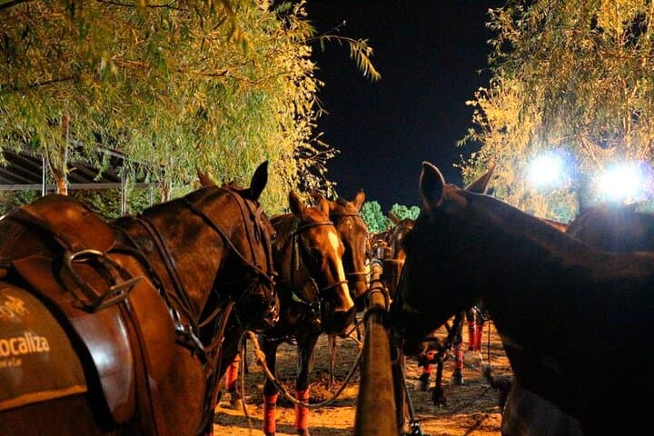 Polo Night & Argentine Asado: An Evening at a Pampas Polo Club photo 5