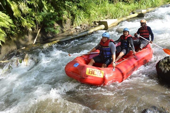Ayung River Rafting in Ubud: Beginner-Friendly Whitewater Through Bali's Valley photo 5