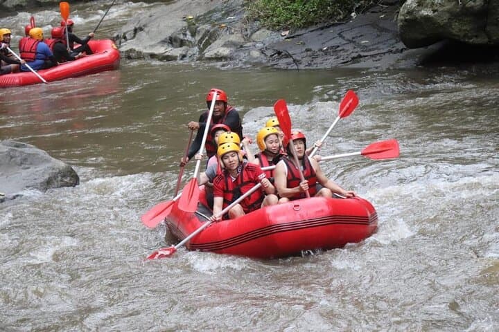 Ayung River Rafting in Ubud: Beginner-Friendly Whitewater Through Bali's Valley photo 6