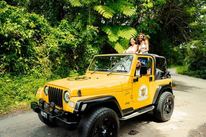 St Lucia Jeep Wrangler Half-Day Private Tour: Sulphur Springs, Pitons & Coastal Villages