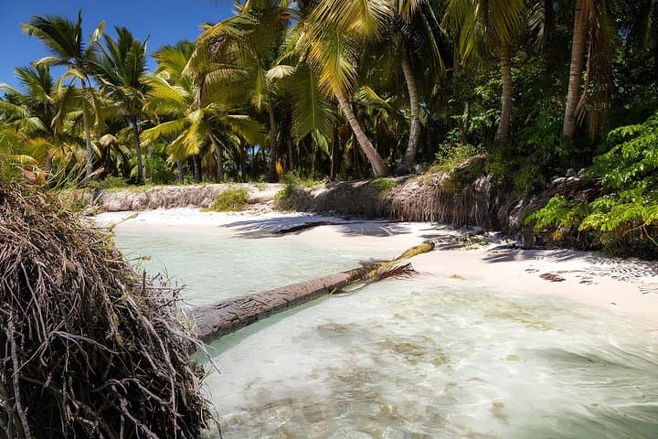 Private Saona Island Speedboat Tour from Punta Cana — Mano Juan & Natural Pool photo 2