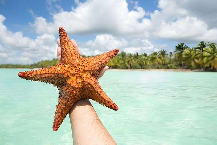 Private Saona Island Speedboat Tour from Punta Cana — Mano Juan & Natural Pool photo 4