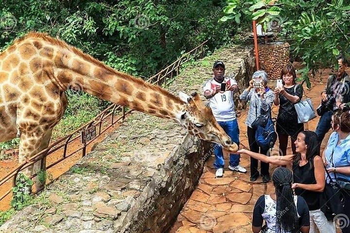 Nairobi Day Tour: Feed Giraffes, Visit Kazuri Beads & Experience Bomas of Kenya photo 4