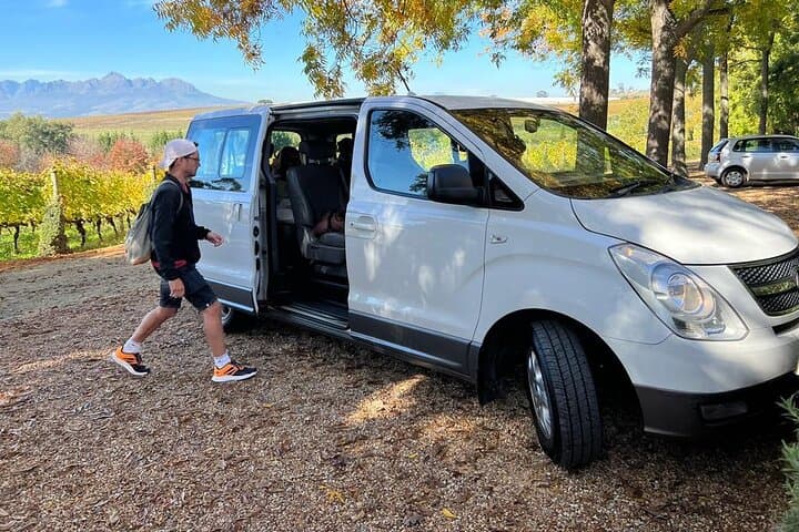 Cape of Good Hope Private Tour — Chapman’s Peak Drive & Boulders Beach Penguins photo 4