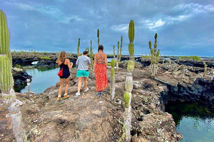 7-Day Galapagos Islands: Santa Cruz, Isabela, Floreana & San Cristóbal Adventure photo 5