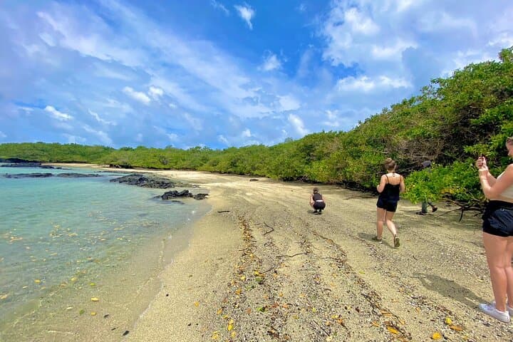7-Day Galapagos Islands: Santa Cruz, Isabela, Floreana & San Cristóbal Adventure photo 6
