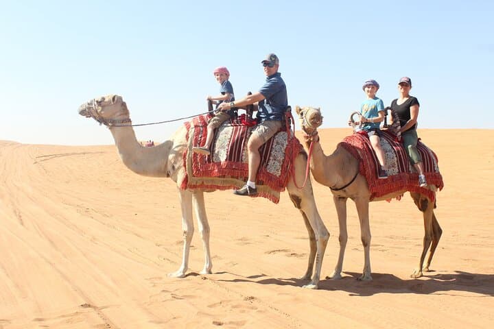 Lehbab Afternoon Desert Safari: 4-Hour Private Dune Bashing & Sandboarding photo 5