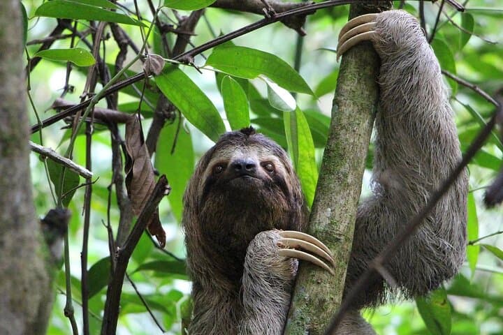 Guanacaste Full-Day Adventure: Miravalles Volcano, Llano del Cortés & Hot Springs photo 1