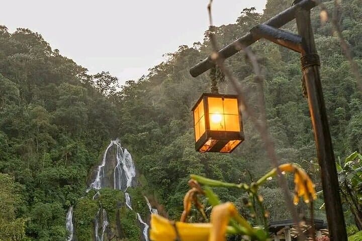 Salento, Cocora Valley & Santa Rosa Hot Springs — Full-Day Private Tour from Pereira photo 5