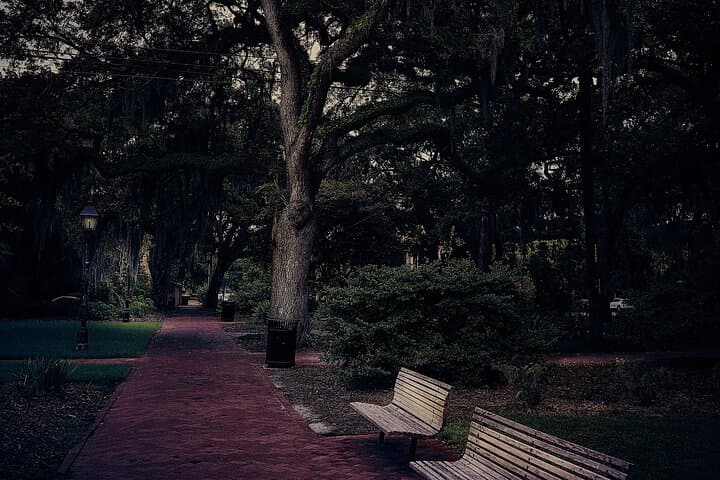 Sixth Sense Savannah Ghost Tour: Haunted Walking Tour Through Historic Squares photo 3