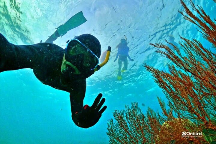 Pro Snorkeling at Phu Quoc's Coral Jungle Reef — Small-Group Eco Tour photo 1