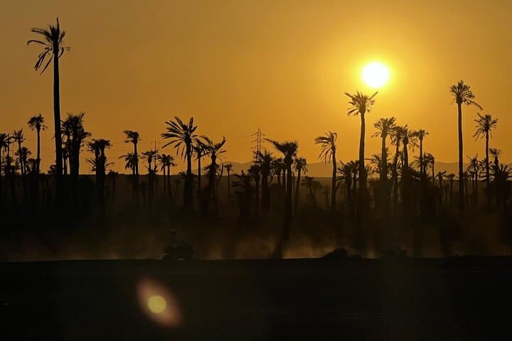 Marrakech Palmeraie Quad Biking Adventure: 3-Hour Guided Tour photo 5