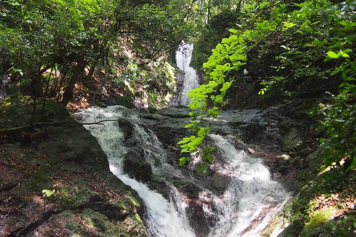 Explore Yoshino by E-Bike: Waterfalls, Tsuburo Lake & Timber Market photo 2