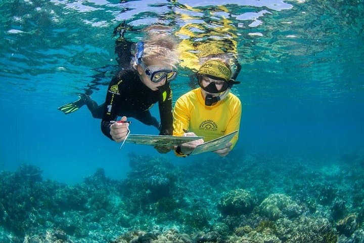 Passions of Paradise: Outer Great Barrier Reef Catamaran Day Trip from Cairns photo 3