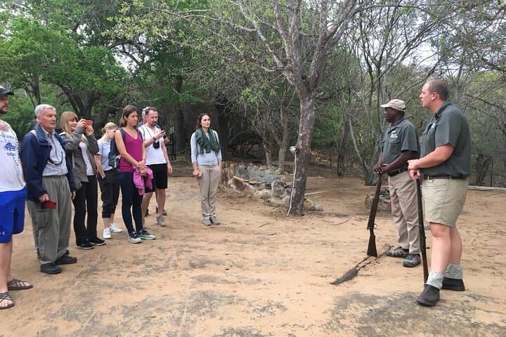 3-Day Masango Safari: Kruger Big Five & Masango Camp Experience photo 2