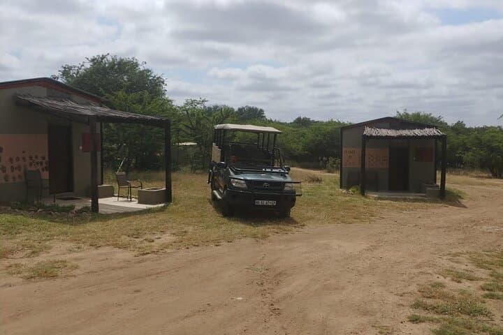 5-Day Masango Safari: Kruger Big Five, Bushwalks & Masango Camp