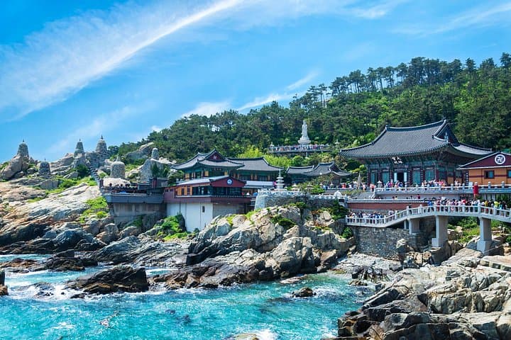 Busan 4-Day Wellness Tour: Coastal Healing, Surf & Cultural Immersion