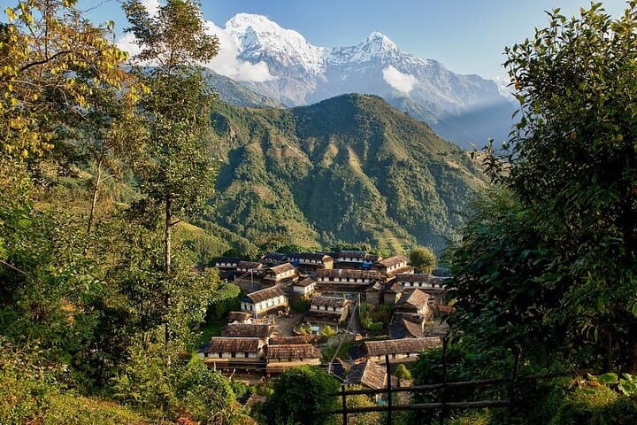 Mardi Himal Base Camp Trek: 10-Day Annapurna Ridge Hike from Pokhara photo 5