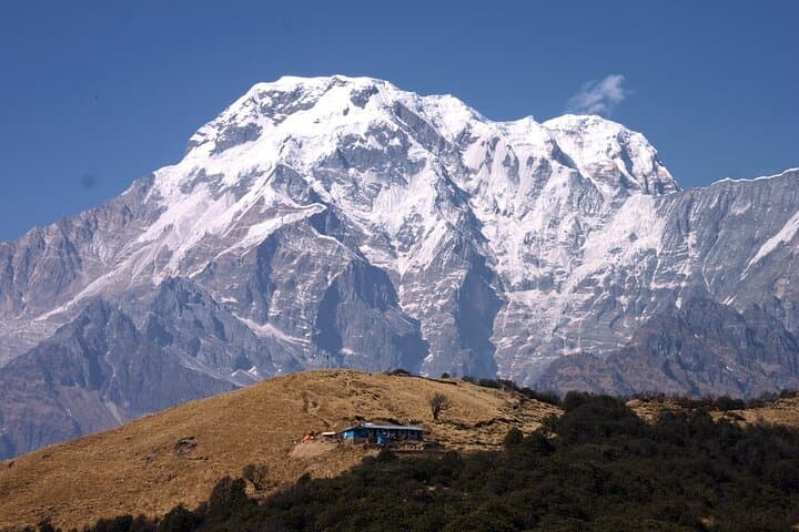 Mardi Himal Base Camp Trek: 10-Day Annapurna Ridge Hike from Pokhara photo 6