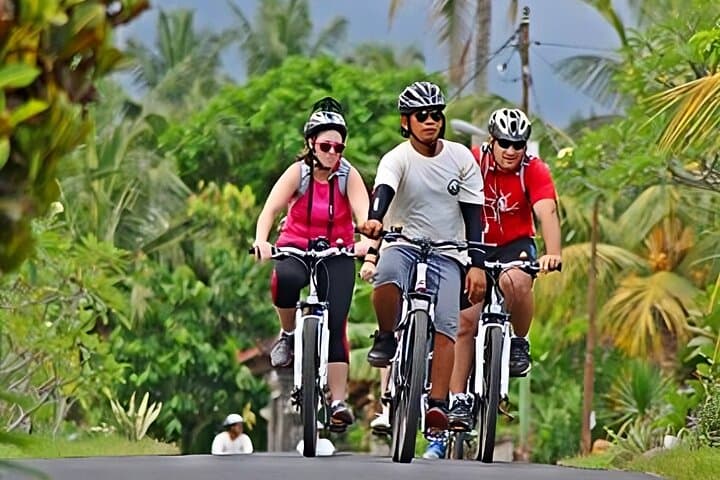 Bali Cycling & Ubud Full-Day: Kintamani Volcano, Rice Terraces & Monkey Forest photo 5