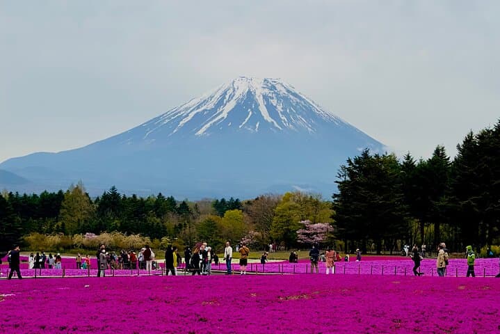 vip-mt-fuji-hakone-private-day-tour-lake-ashi-cruise-ropeway