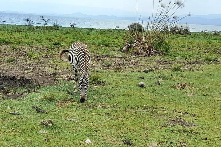 Explore Hell's Gate National Park and Lake Naivasha: A Day Trip Adventure from Nairobi photo 2