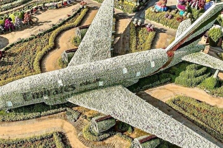 Dubai Frame and Miracle Garden Half-Day Tour with Private Transfer photo 3