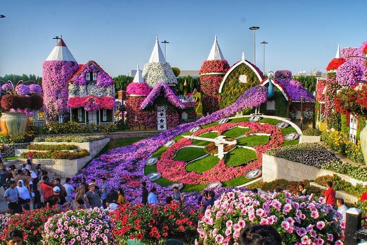 Dubai Frame and Miracle Garden Half-Day Tour with Private Transfer